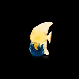 Daum, Maya sculptures, Medium Yellow & Blue Platax Fish