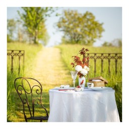 Bernardaud, Aux Oiseaux, Creamer