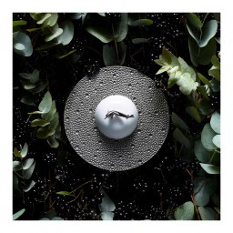 Bernardaud, Ecume Platinum, Creamer