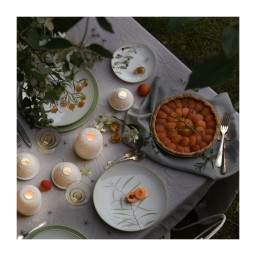Bernardaud, Jardin Indien, Creamer