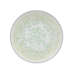 Jaune de Chrome, Song Amande, Dinner plate