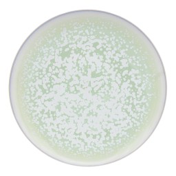 Jaune de Chrome, Song Amande, Presentation plate
