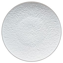 Raynaud, Minéral platinum, Presentation plate