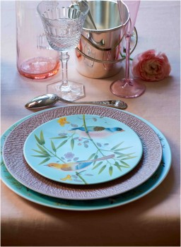 Raynaud, Paradis, Presentation plate