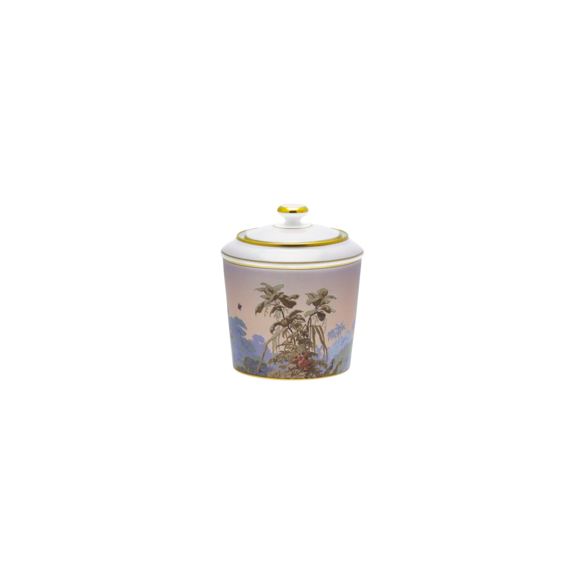 Haviland, Le Brésil, Sugar bowl
